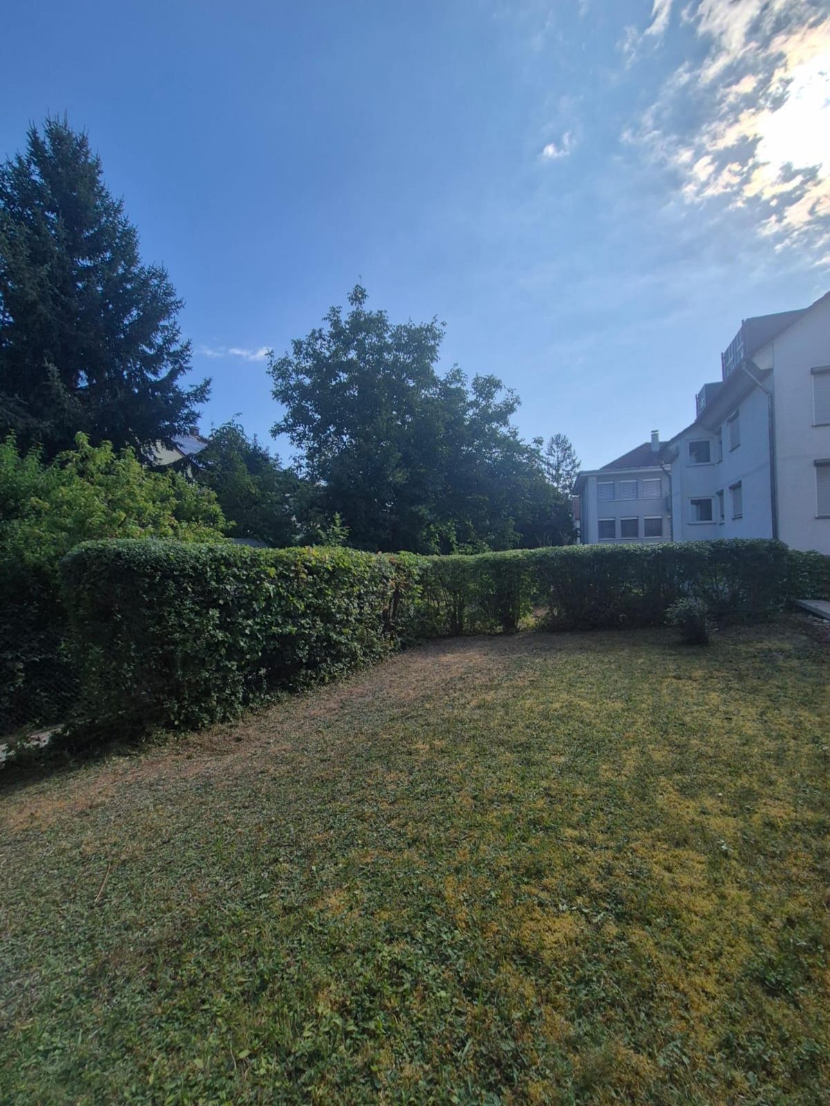 Garten- & Heckenpflege – nachher
