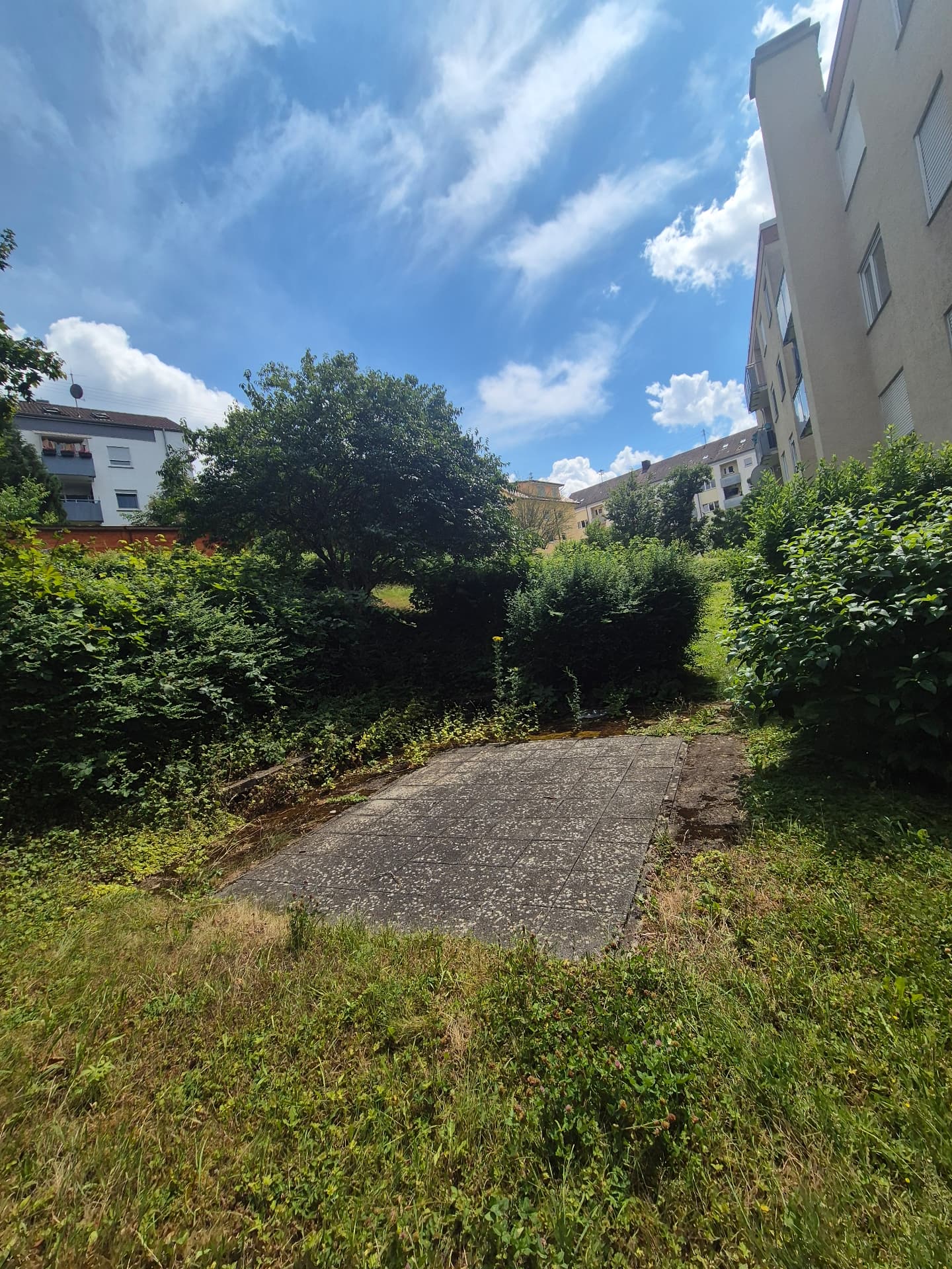 Außenanlagenpflege – vorher